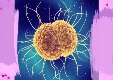 მოკლედ გონორეას შესახებ