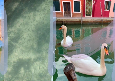 კორონავირუსის კარანტინმა იტალიაში წყლისა და ჰაერის დაბინძურების დონე რადიკალურად შეამცირა