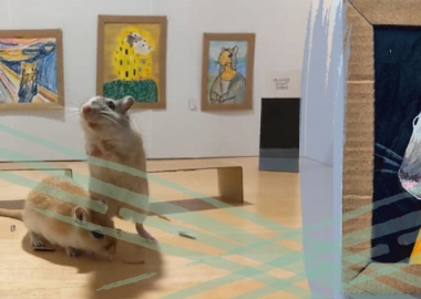 კარანტინში ყოფნისას მოწყენილმა წყვილმა საკუთარი ზაზუნებისთვის პაწაწინა ხელოვნების მუზეუმი შექმნა