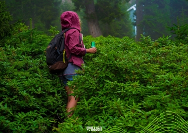 ისარგებლეთ მინერალების ჯადოსნური შესაძლებლობებით - მათი ნაკლებობა ჯანმრთელობას სერიოზულ პრობლემებს უქმნის