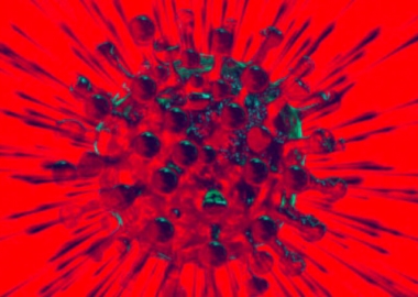 MIT-ის ნეირონული ქსელი ტრამპს შეზღუდვების შესაძლო მოხსნასთან დაკავშირებით აფრთხილებს