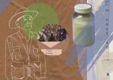 კარანტინი და მაწვნის კონტრაბანდა ოქროყანიდან