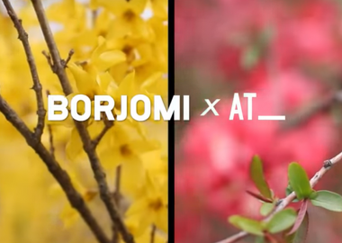 #ჩემთანსახლში - ზურაბ შევარდნაძე