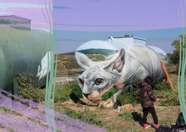 მხატვარმა გაზის ძველ ავზზე ილუზორული კატა-სფინქსი დახატა