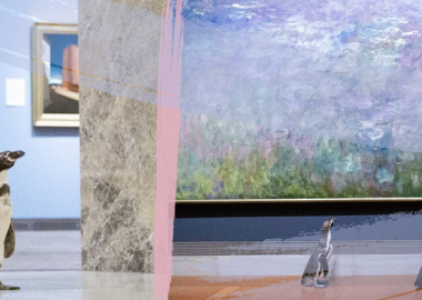 კანზასის ზოოპარკმა პინგვინებს ხელოვნების მუზეუმში იმპრესიონისტებისა და ბაროკოს კოლექციები დაათვალიერებინა