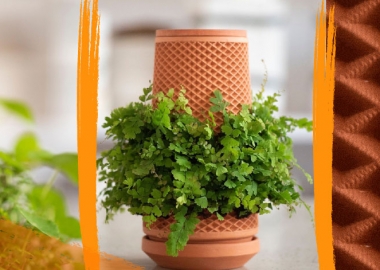 გამოვიდა ინოვაციური ჭურჭელი - "ტერაპლანტერი", რომელშიც მცენარე მიწის გარეშე იზრდება