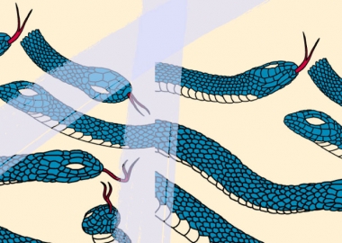 ყველაფერი გველებზე - ბიოლოგ ვასილ გაბუნიას რჩევები