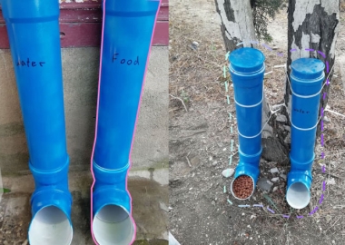 ინიციატივა: ქუჩის ავზები მიუსაფარი ცხოველებისთვის