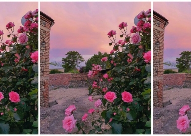 დღის ფოტო: ლუიზა ჩალათაშვილის "საგარეჯო" პლატფორმა NOWNESS-ზე გამოქვეყნდა