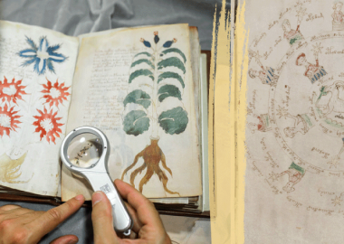 "ვოინიჩის მანუსკრიპტი" - მოგზაურობა 600 წლის გაუშიფრავი ილუსტრირებული ხელნაწერის მისტერიაში