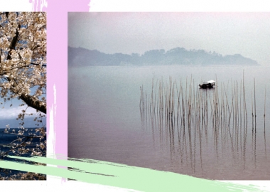 Magnum-ის წევრის, ბერტ გლინის შთამბეჭდავი ფოტოები 60-იანი წლების იაპონიიდან