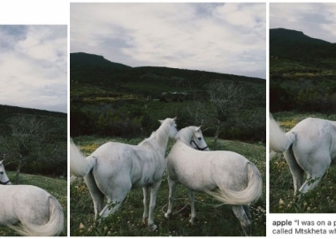 Apple-მა ინსტაგრამზე ქართველი ფოტოგრაფის, დათო ქორიძის ფოტო გამოაქვეყნა