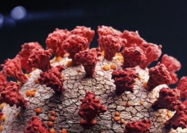 დიდ ბრიტანეთში კორონავირუსის “ახალი ვარიანტი” აღმოაჩინეს