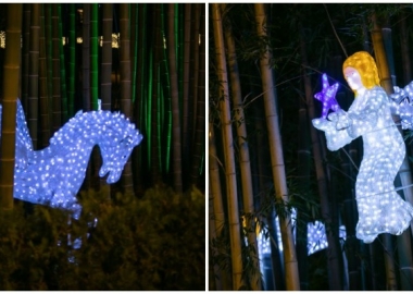 საახალწლოდ განათებული ბათუმის ბულვარი - by George Phoenix