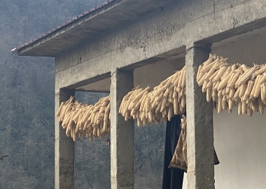 ელენე კაჭარავას ფოტომოგზაურობა სამეგრელოსა და ზემო აჭარაში