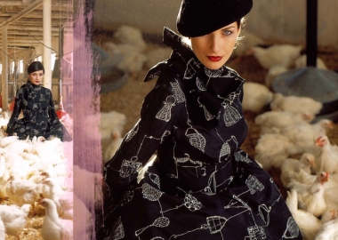 რევიზია ფერმაში