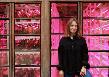 Space Farms - ჯანსაღი ბოსტნეულის გამოწერის სერვისი