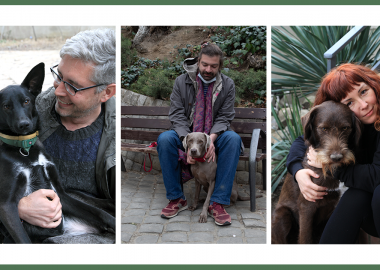 აყვანილი ცხოველების მეორე სიცოცხლე