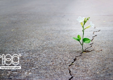 180 გრადუსით შემობრუნებული ცხოვრება, ანუ  „დამოკიდებულებიდან“ ჯანსაღ ცხოვრებამდე