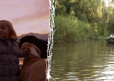 თანამედროვე კინომეტყველების ფორმები - კინოდრო, როგორც “ონლაინრეჟიმი”