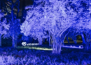 სილქნეტის ბაღი წინანდლის მამულში