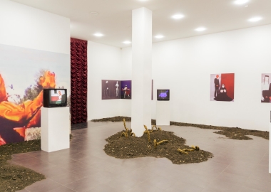 „აი ია, ყვავილია“ - შალვა ნიკვაშვილის სოლო გამოფენა The Why Not Gallery-ში.