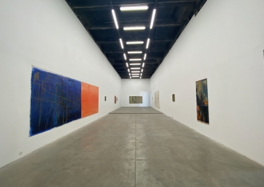 სოფო კობიძის სოლო გამოფენა - ყველა ყვავილი სახელოვნებო სივრცე მაუდში.