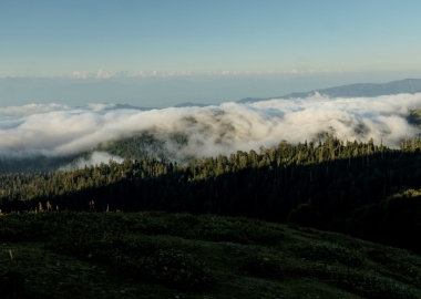 ფოტომოგზაურობა - ანრი ტაბაღუა ბახმარო