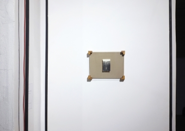 ფოტო-აუქციონი: გიორგი შენგელია