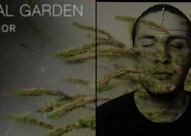 Neon Warrior და ბოტანიკური ბაღის მისტერია