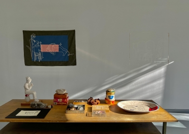 „ზიანისგან დაცული“ - ანკა ბოჭორიშვილის პირველ სოლო შოუ გალერეა 4710-ში