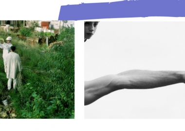 ფოტოლატარეა – 29 დეკემბერს სამი გამარჯვებული გამოვლინდება