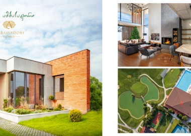 ცხოვრება ახალ განზომილებაში - ვილა ამბასადორი