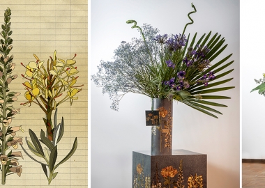 მაია სუმბაძე & F-LOVERS