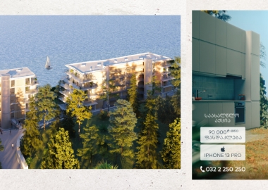 “მწვანე კონცხი ბოტანიკო” საახალწლო აქციის ფარგლებში ბინების ფასდაკლებით შეძენას და საჩუქარს გთავაზობთ