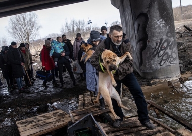 უკრაინელები და მათი შინაური ცხოველები ომის დროს 