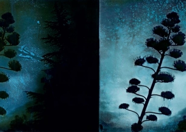 სამი ფერი: მწვანე წითელი ლურჯი - ამიერკავკასია ინდუსტრიული რევოლუციიდან საბჭოთა ოკუპაციამდე