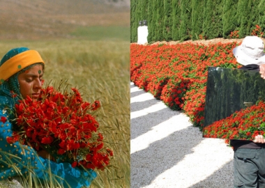 ირანული კინემატოგრაფიის დიდოსტატი - მოჰსენ მახმალბაფი