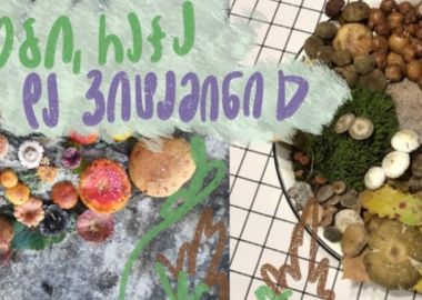 რას გავიგებთ დღეს - სოკოები, რაჭა და ვიტამინი D