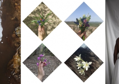 რას გავიგებ დღეს 4 - ბირთვისი, მწვანე ჩაი და ლამრაბატის ფოტოგრაფია