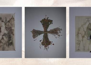 Vegetal Milk - უკრაინელი ხელოვანის, დანა სკიცკას საქველმოქმედო გამოფენა "პროპაგანდაში"