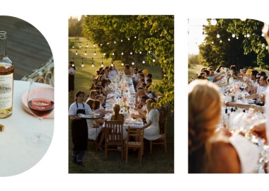 მოგონებები „ჩელთის“ ვენახებიდან