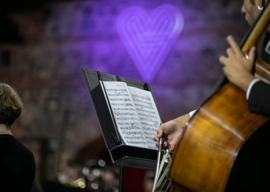 შევხვედრები წინანდალში, მუსიკის ფესტივალზე