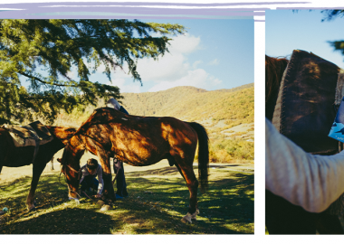 "პანკისის ხმები" - სამკვირიანი სერთაშორისო სახელოვნებო რეზიდენცია