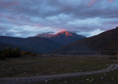 დიანა ტამანე - ფოტოგრაფი და პანკისის ხეობის უცხო ყვავილი