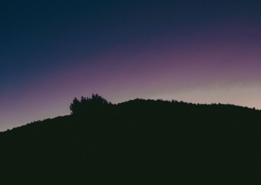 ბენ უილერი და ხეობის ხმები - მულტიმედიური გამოფენა ფოტოგრაფიის მუზეუმში