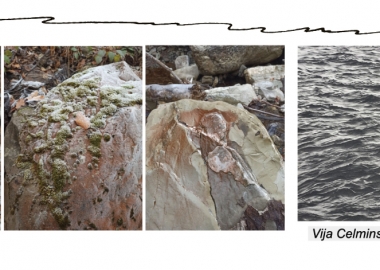 ტყის ნობათი, თბილისის მდინარეები - რას გავიგებ დღეს?