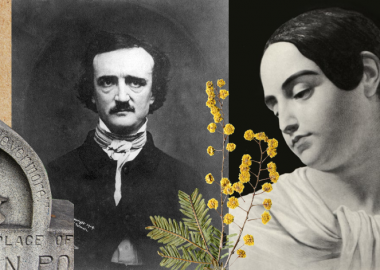 საუბარი ედგარზე, ანუ „ლანდებს სასახლეში სწორედ მაშინ ელი, როცა საუბარი ედგარ პოეზეა“