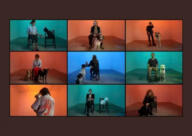 ვილაპარაკოთ ჩვენს ოთხფეხა მეგობრებზე