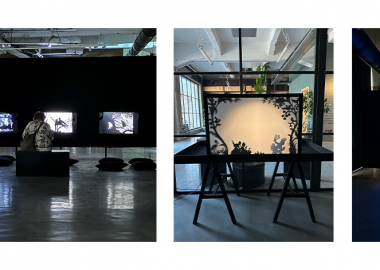 ის, რაც დისნეიმდე იყო, ლოტე რაინიგერის ჩრდილების ქვეყანა